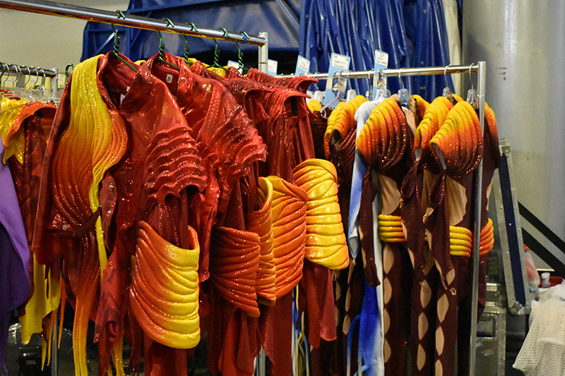 Cirque du Soleil Varekai Minsk
