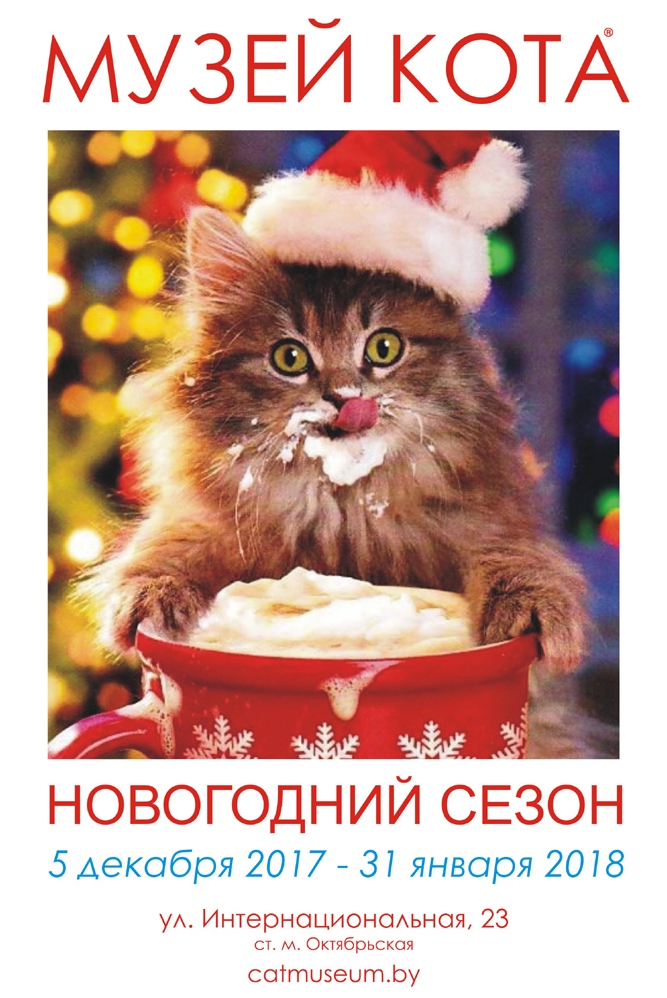 Музей кота новогодний