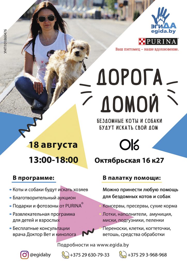 В Минске более 60 бездомных животных найдут свою «Дорогу домой!»